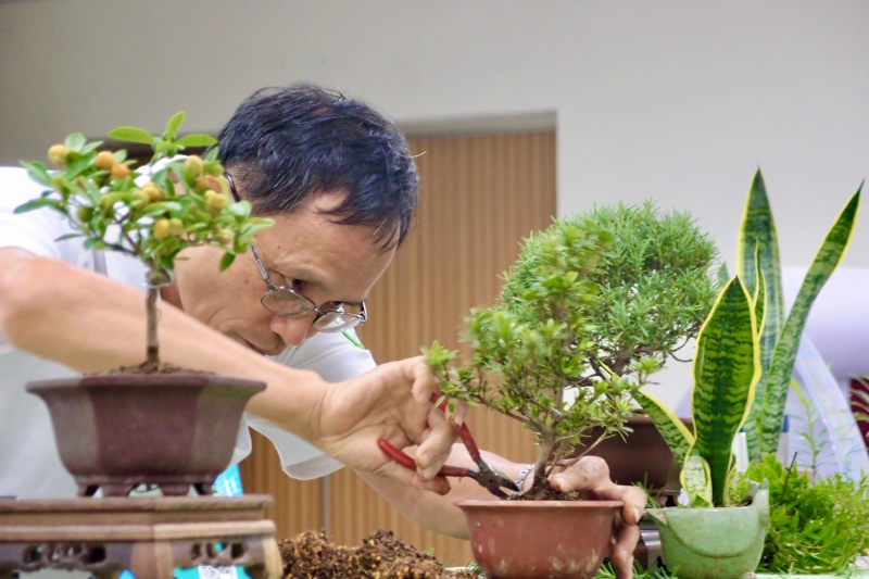 盆中世界 盆栽入門 社團法人高雄市愛種樹協會