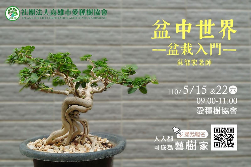 盆中世界 盆栽入門 社團法人高雄市愛種樹協會